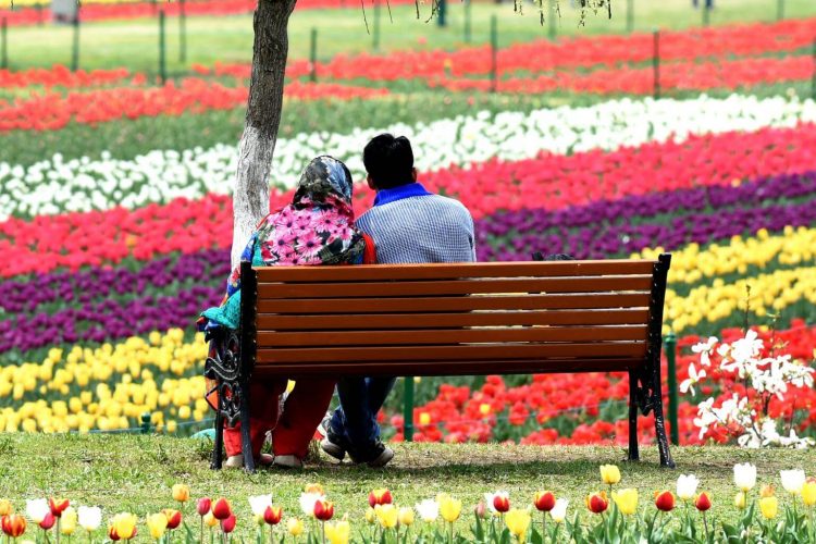 Jammu and Kashmir Honeymoon Package